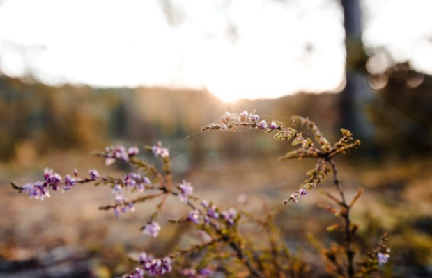 Sykepleiere til akuttmottak i Ringerike Sommer 2025