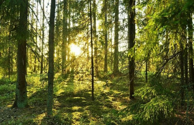 Privata längre primärvårdsuppdrag i Vetlanda 2026