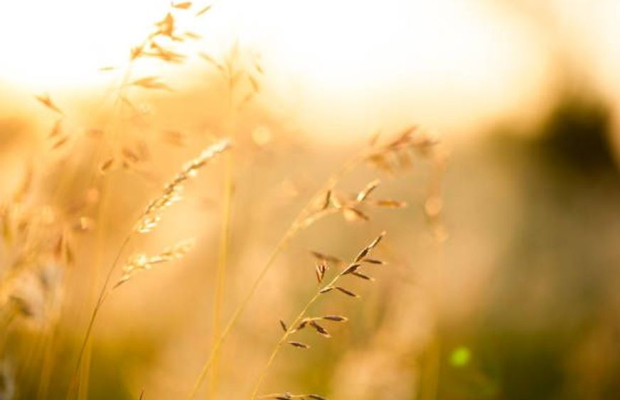 Unik möjlighet till uppdrag hos statlig myndighet