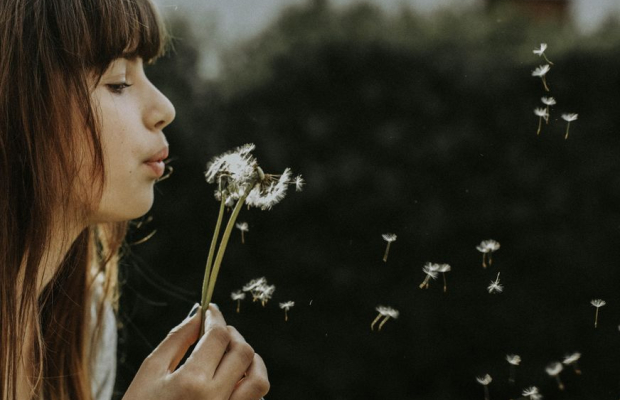 Dialysen AHUS sommer 2026